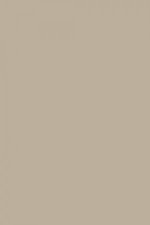 FARROW AND BALL LIGHT GRAY NO. 17 PAINT
